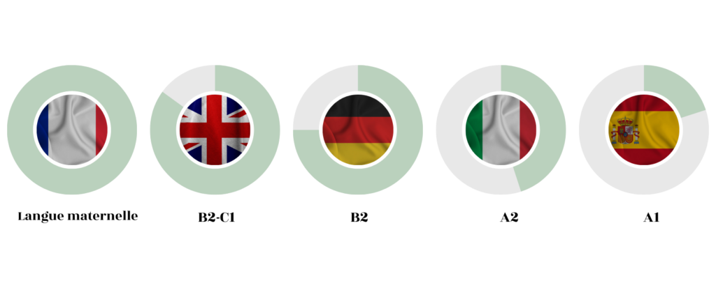 Français (langue maternelle), Anglais (C1-B2), Allemand (B2), Italien (A2), Espagnol (niveau découverte)