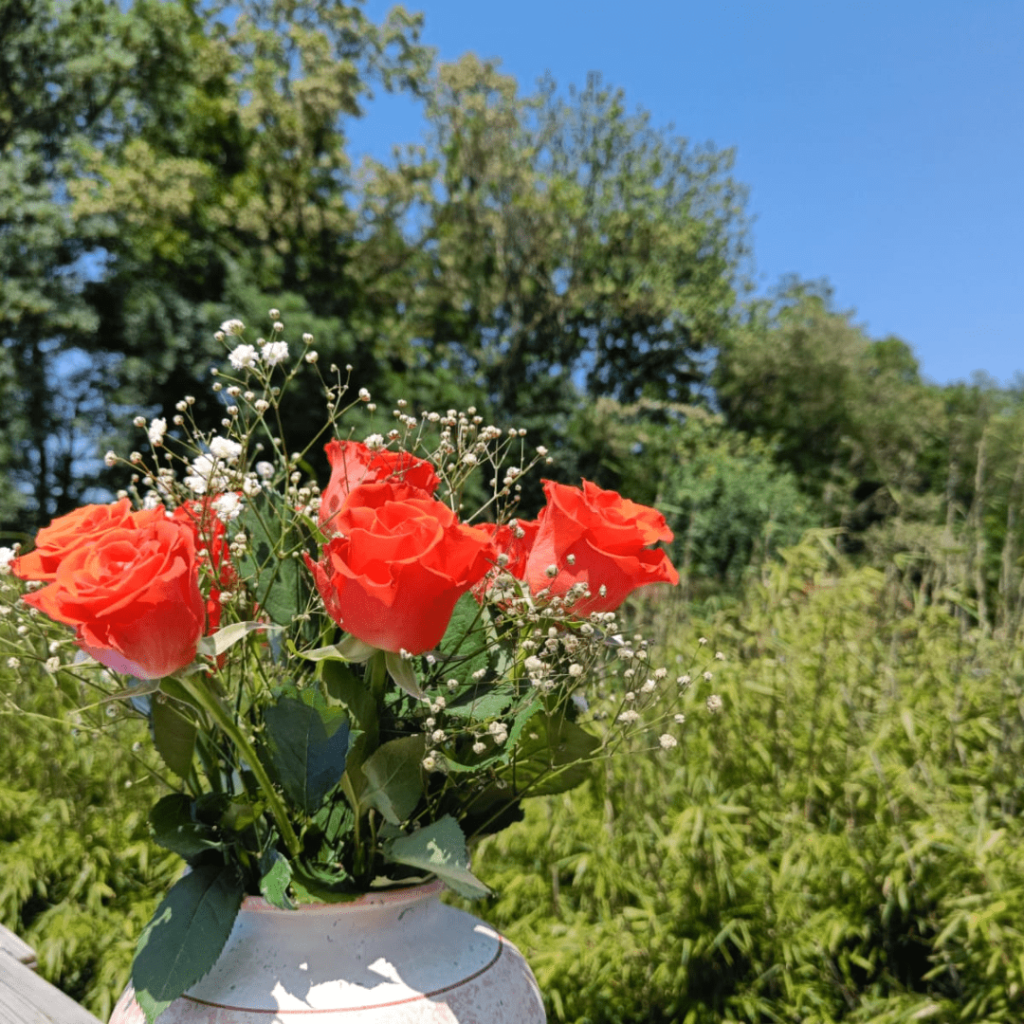 Bouquet de roses