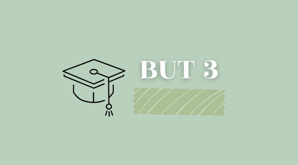 BUT 3